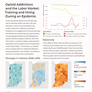 Opioid Handout Infographic
